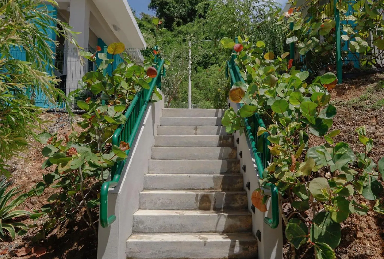 Villas At Chalet De Buye Cabo Rojo Puerto Rico